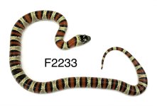 A4AC9F08-F6D7-4201-8E33-B489545576E8.jpg