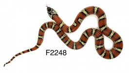 2D948E67-C41A-47F0-8DDE-FBC9E6A6504F.jpg