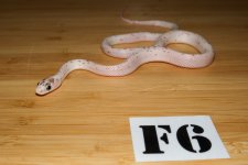 IMG_2349.jpg