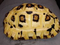 IMG_20221216_100338233.jpg