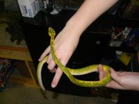 DSCN0084[1].jpg