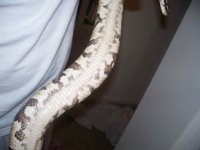 100_2540.jpg