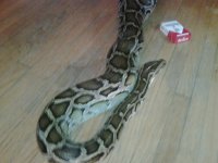 IMG00156-20110309-0940.jpg