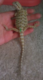 IMAG0783-1.jpg