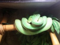 gtp2.jpg