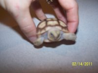 100_4064.jpg