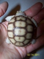 100_4067.jpg