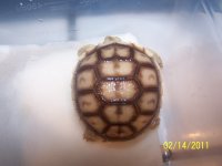 100_4074.jpg