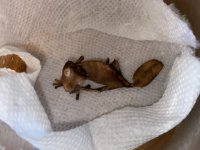 thumbnail_IMG_2119.jpg