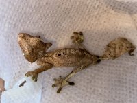 thumbnail_IMG_2121.jpg