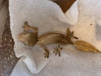 thumbnail_IMG_2122.jpg