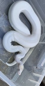 IMG_3843.jpg