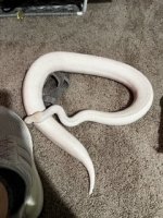 IMG_3919 Small.jpeg