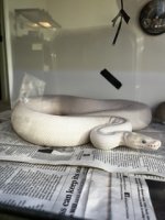 IMG_4387 Small.jpeg
