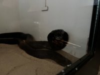 IMG_5040 Medium.jpeg