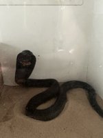 IMG_5070 Medium.jpeg
