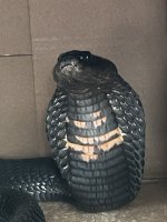 IMG_5095 Medium.jpeg