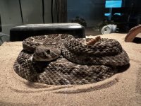 IMG_5106 Medium.jpeg