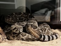 IMG_5078 Medium.jpeg