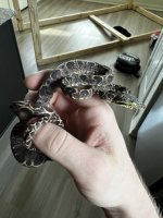 IMG_5101 Medium.jpeg