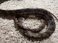 IMG_4097 Medium.jpeg