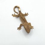 crested3.jpg