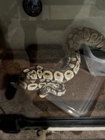 IMG_4811 Medium.jpeg