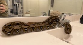 IMG_4204 Small.jpeg