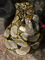 IMG_4815 Small.jpeg
