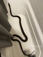IMG_4930 Small.jpeg