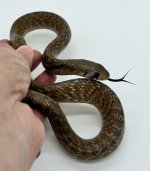 IMG_2884.jpg