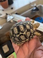 thumbnail_IMG_7530.jpg
