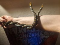 20220814_204157.jpg