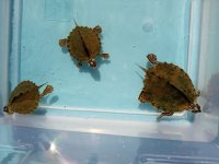 IMG_20230313_104516229.jpg