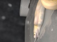 IMG_20220210_172930690.jpg