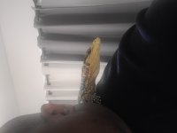 20220405_210130.jpg