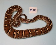 M 10.jpg