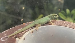 IMG_5006.JPEG