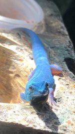 IMG_3472.jpeg