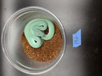 C040A0E2-FE5A-4E55-A063-A8B6AC72C358.jpg
