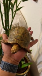 IMG_6562.jpg