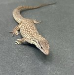 738E22AC-B5AD-4E4A-8095-276A4780A284.jpg