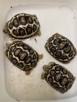 thumbnail_IMG_7826.jpg