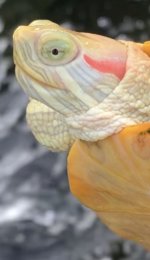 18907BC3-2D89-47EF-8B74-94181E27B7B3.jpeg