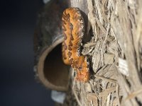 IMG_9971.jpg