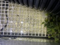 ABF4E54D-AA90-4B01-B4E6-3F419AA0AB01.jpg