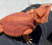 IMG_3839.jpg