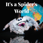 20230611_095811.png