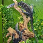 Blue_Tree_Monitor_Pair (1).jpg