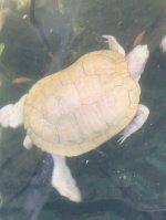 IMG_3310.jpeg